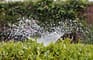 Precision Irrigation